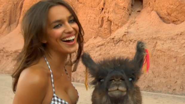 irina-shayk-alpaca-dblwide.jpg